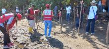 Volunteers planting mangroves at the Rogate Beach.